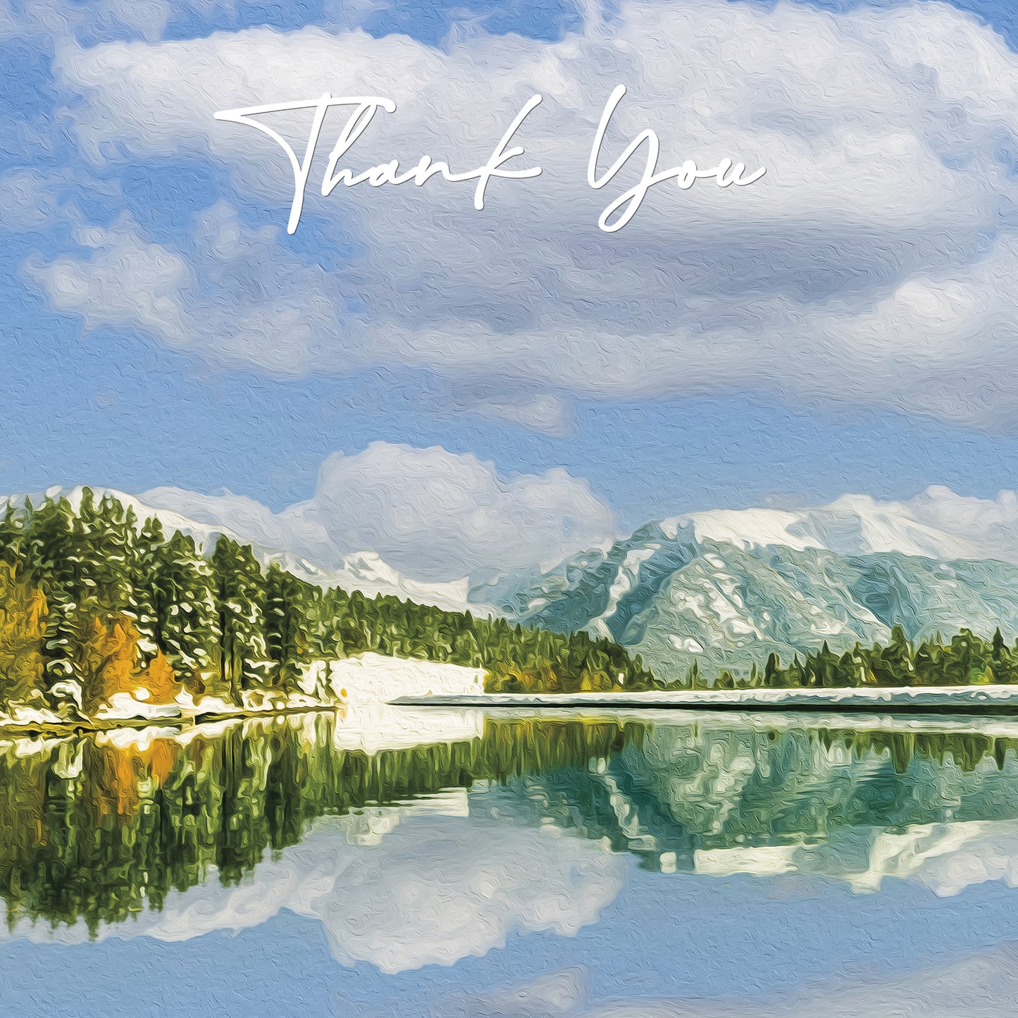 Thank You Cards - V3