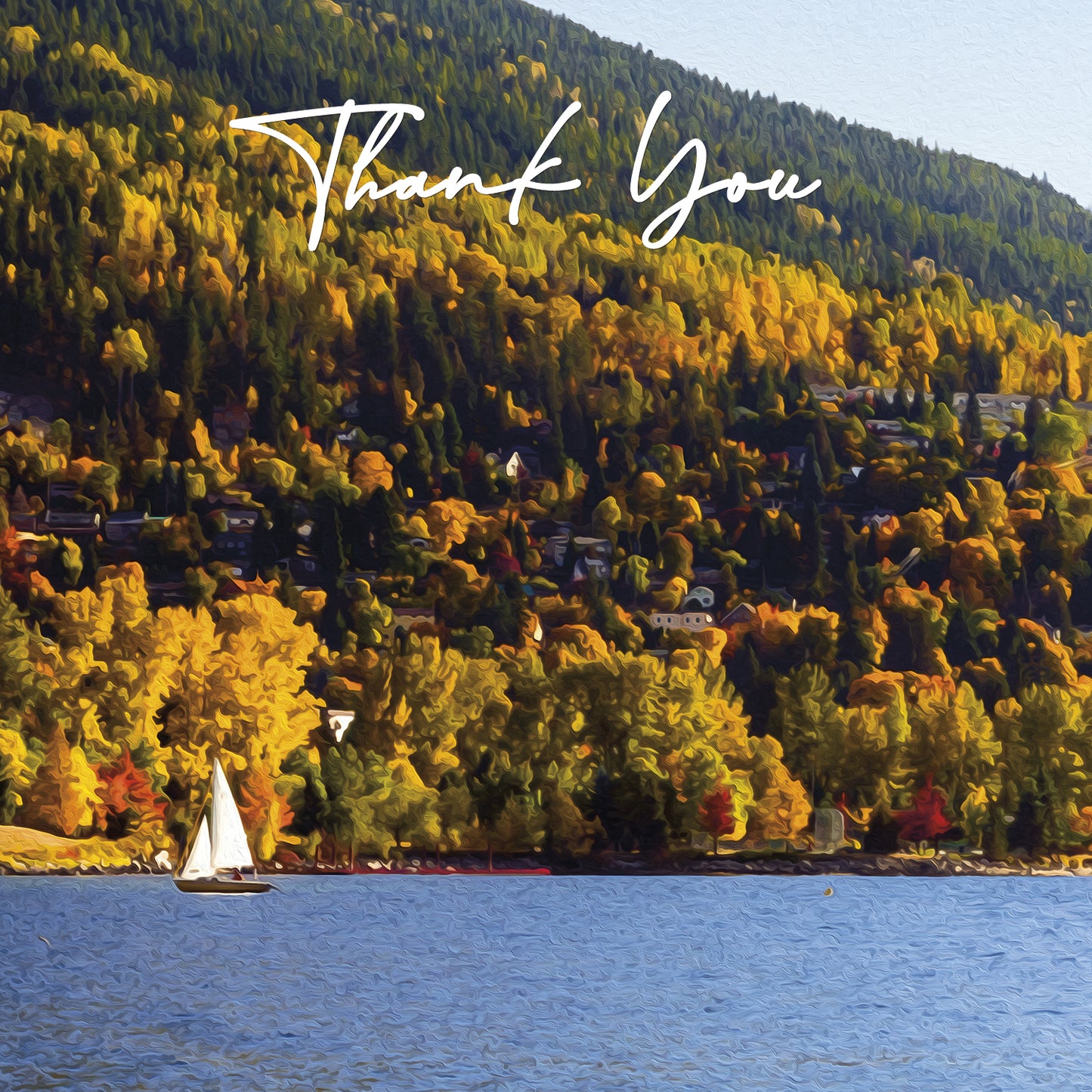 Thank You Cards - V7