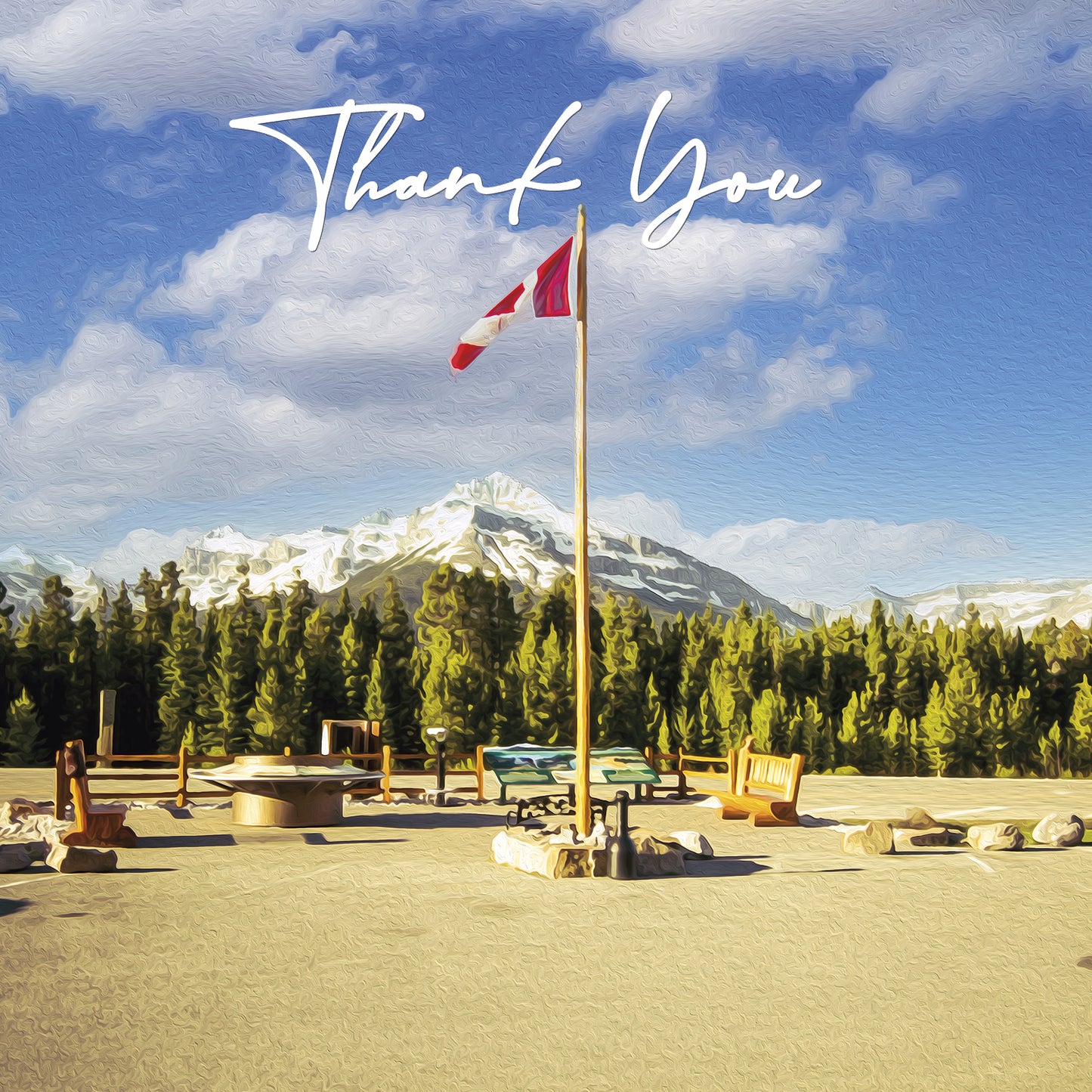 Thank You Cards - V7