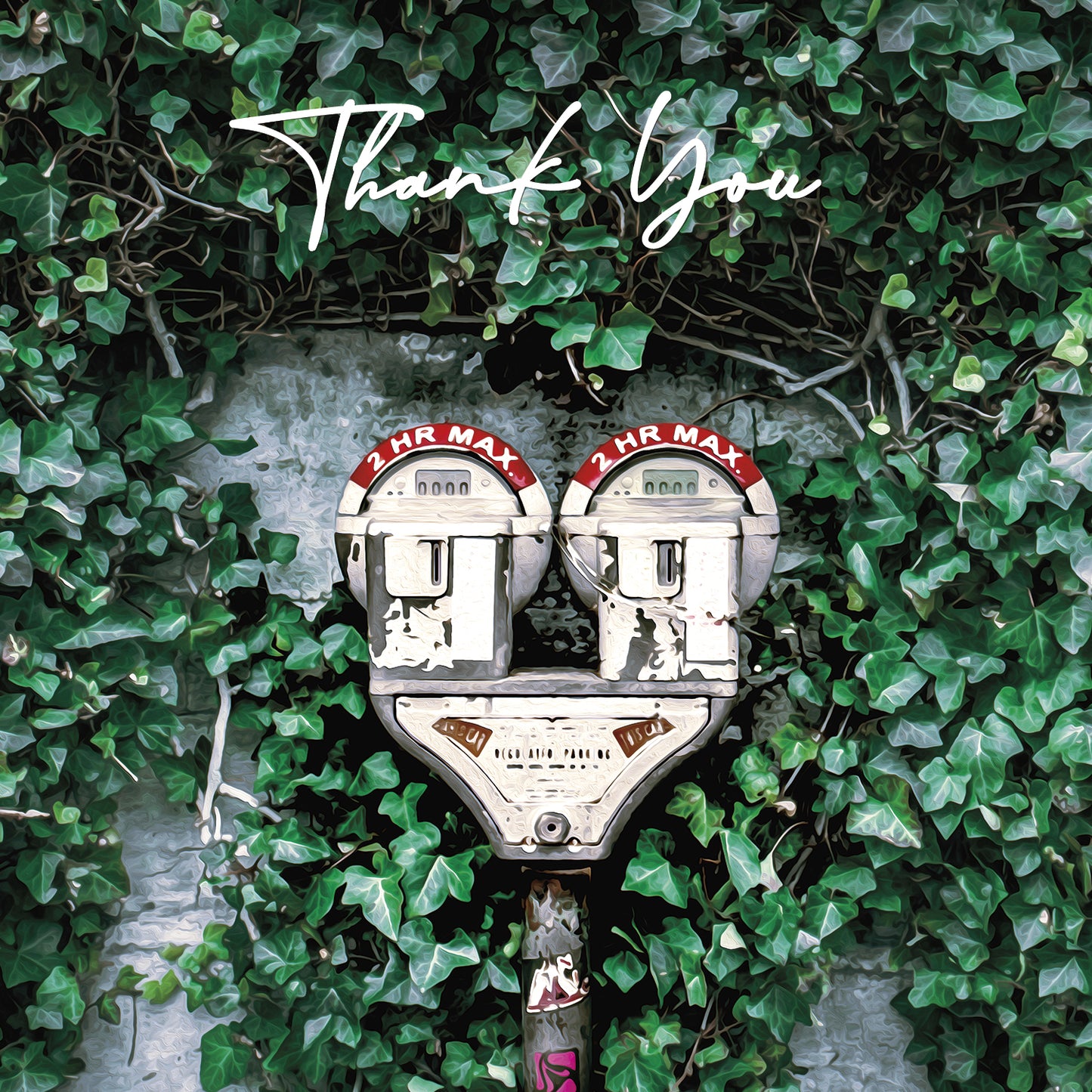 Thank You Cards - V5