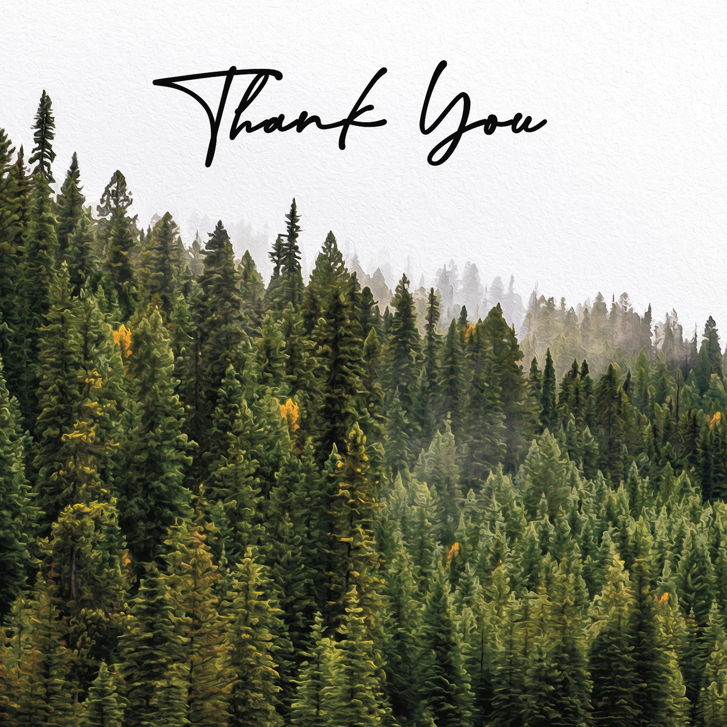 Thank You Cards - V4