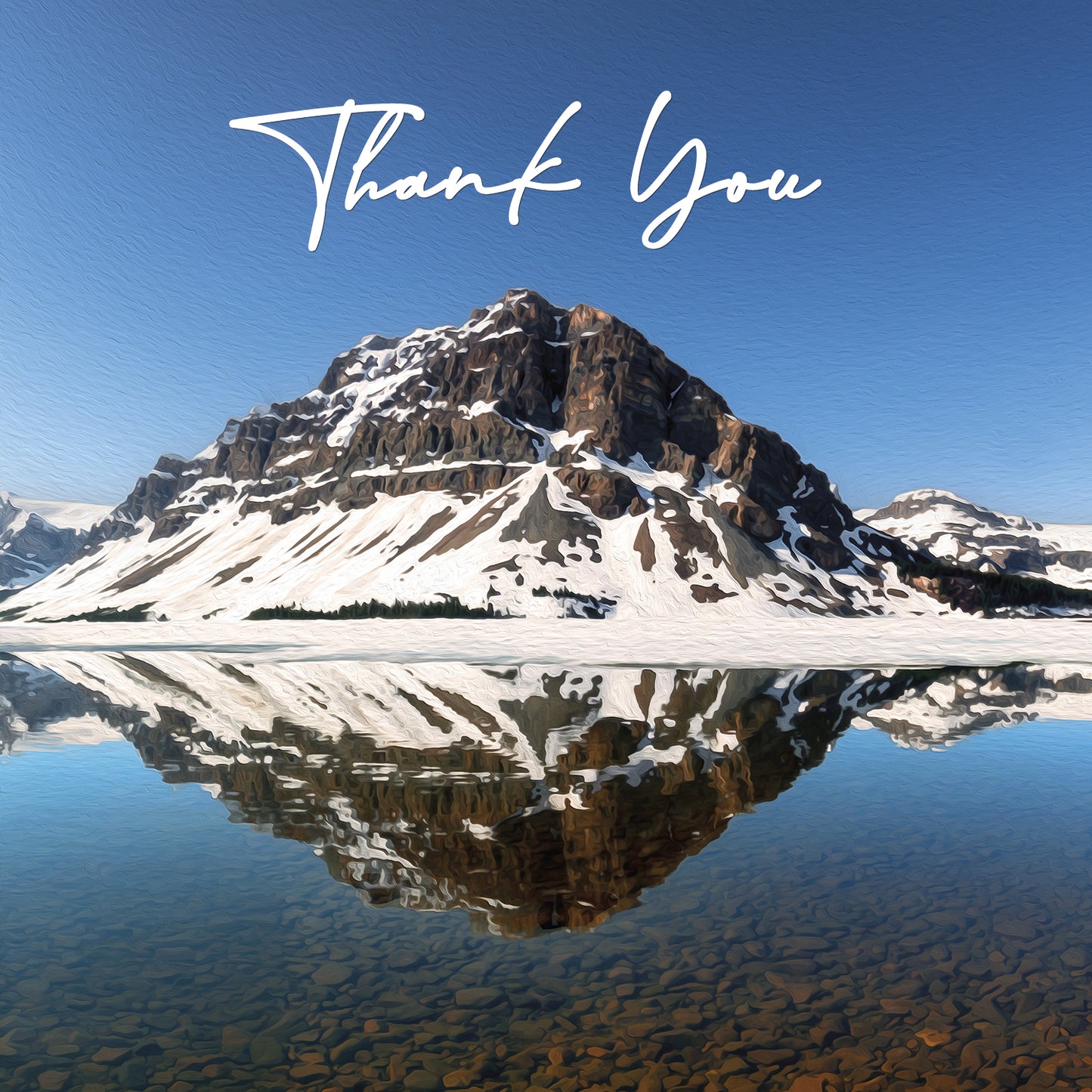 Thank You Cards - V6