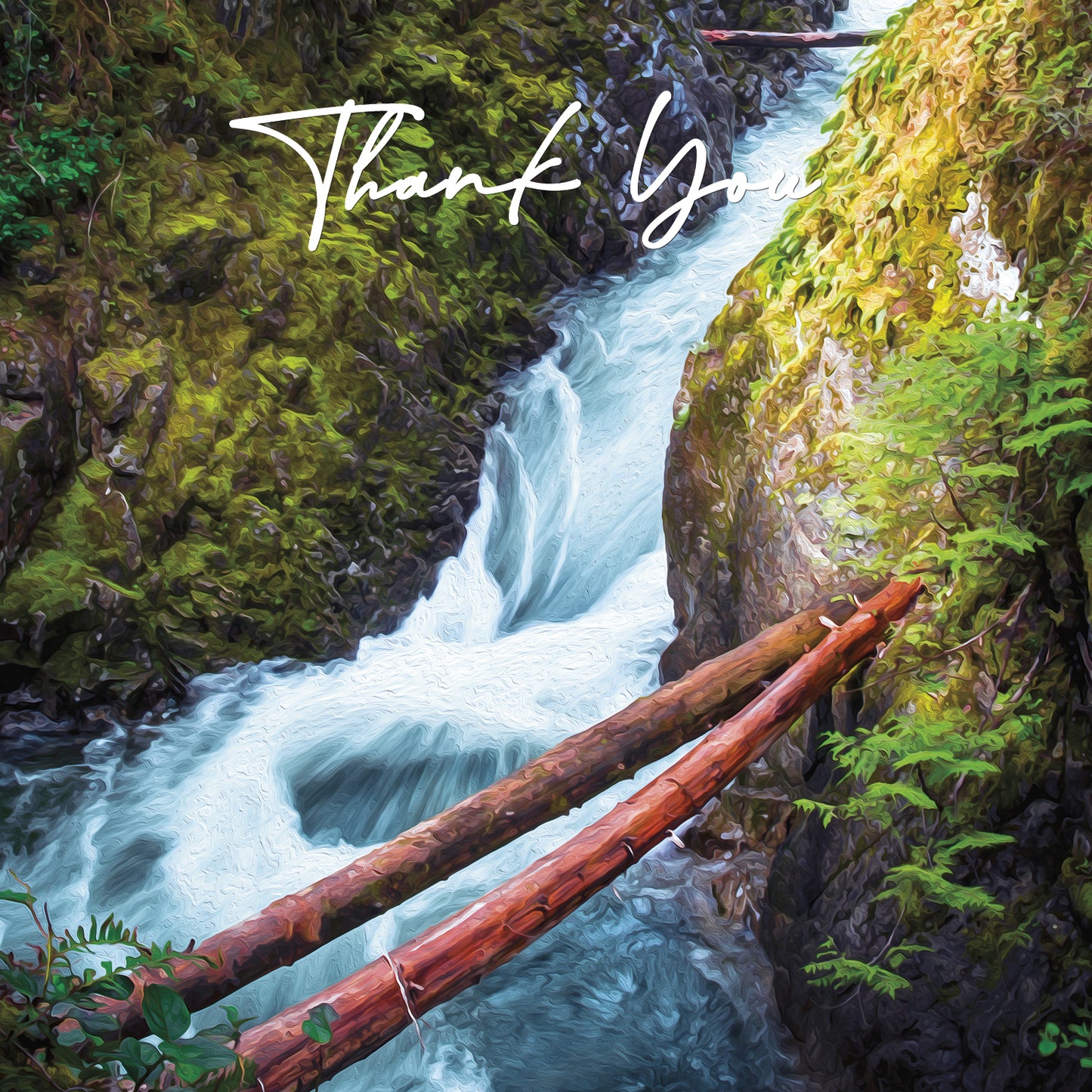 Thank You Cards - V3