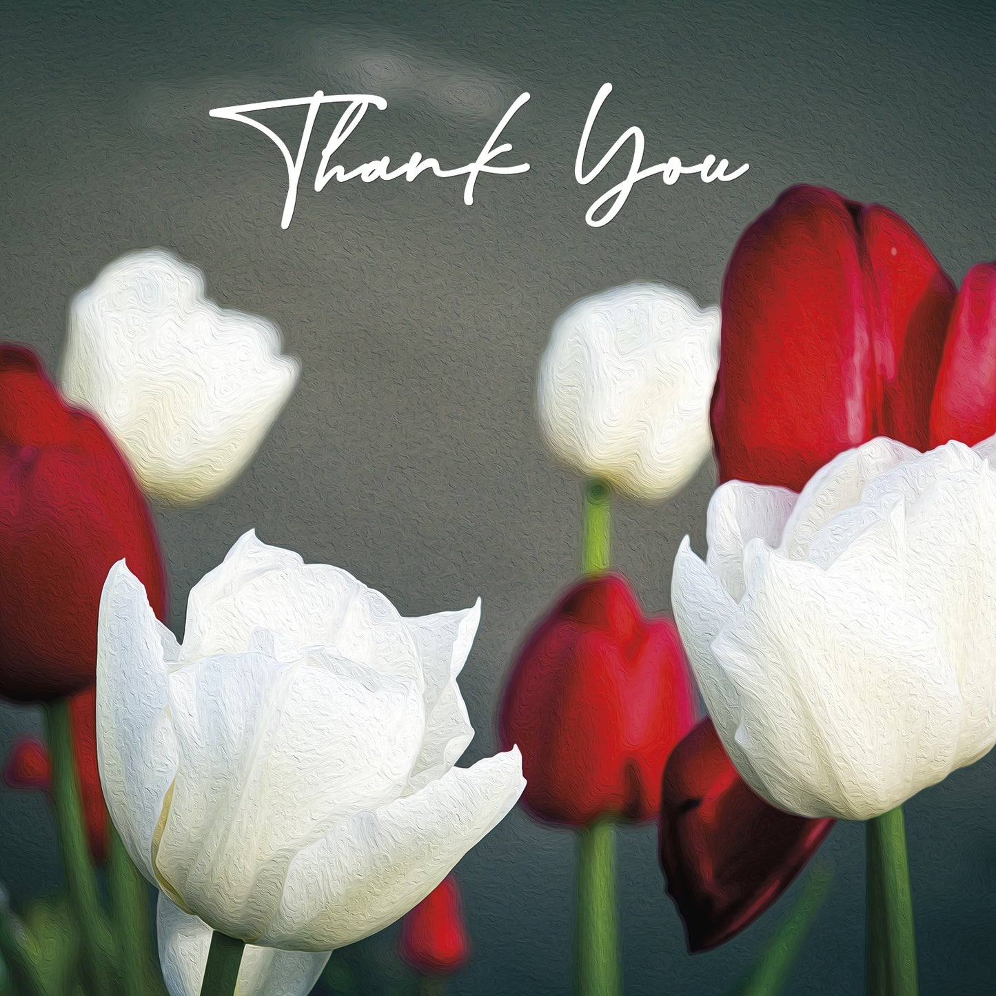 Thank You Cards - V2