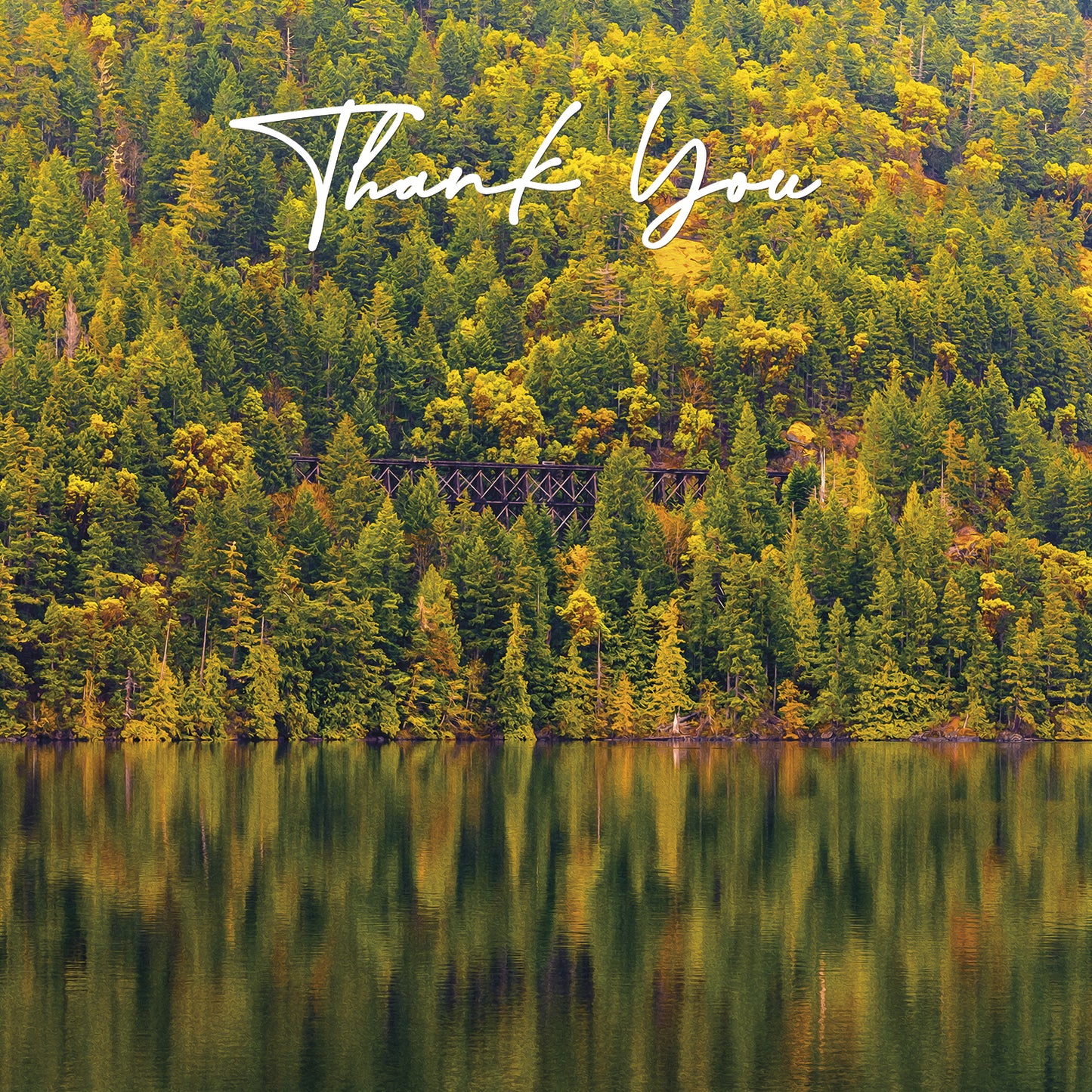 Thank You Cards - V6