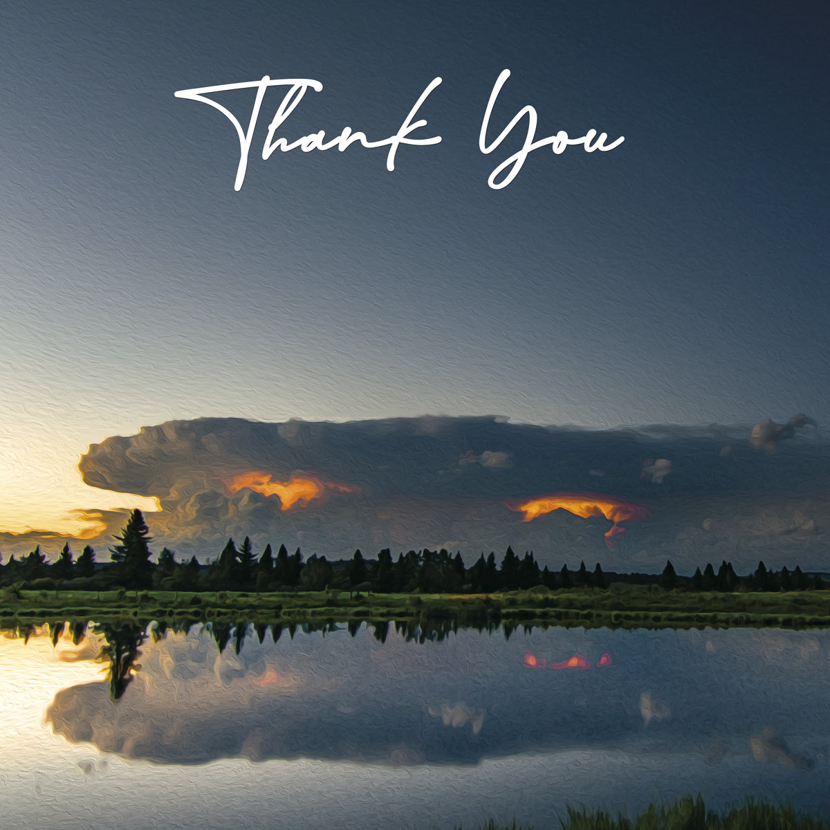 Thank You Cards - V2