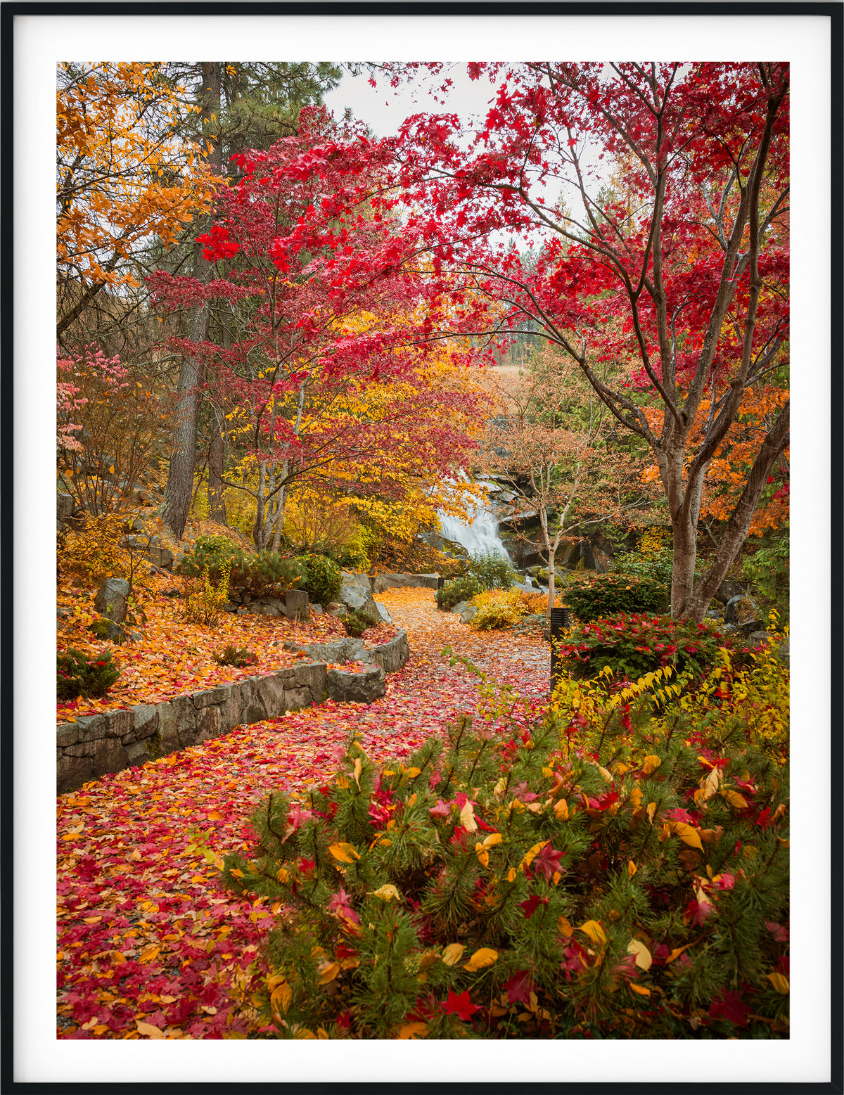 Explosion of Color - Cottonwood Falls
