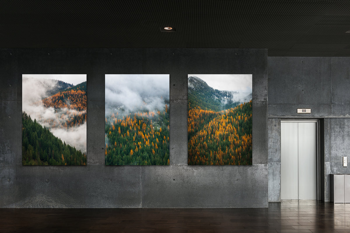 Between Seasons