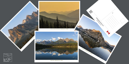4 for $12 postcards