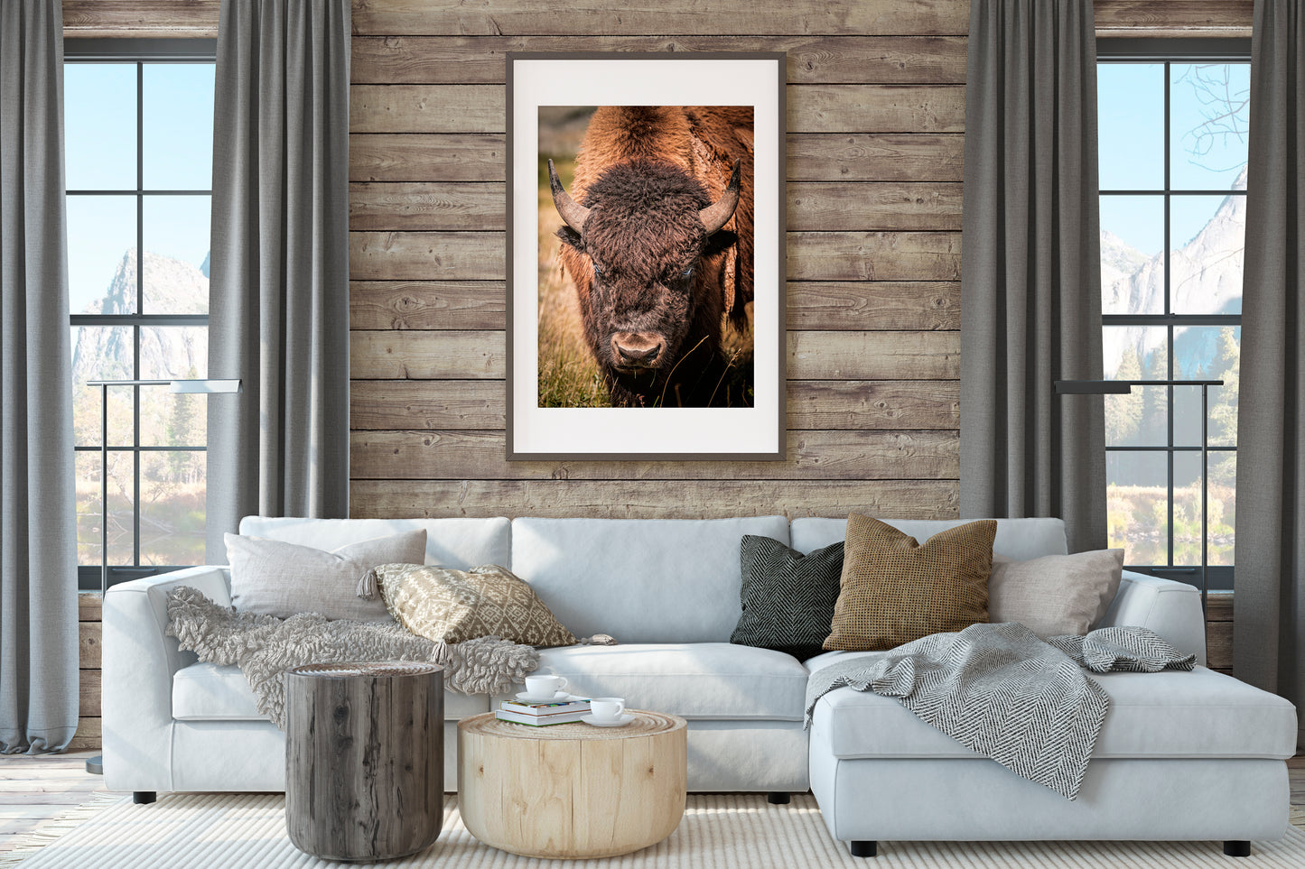 The Staredown – A Glimpse into the Wild
