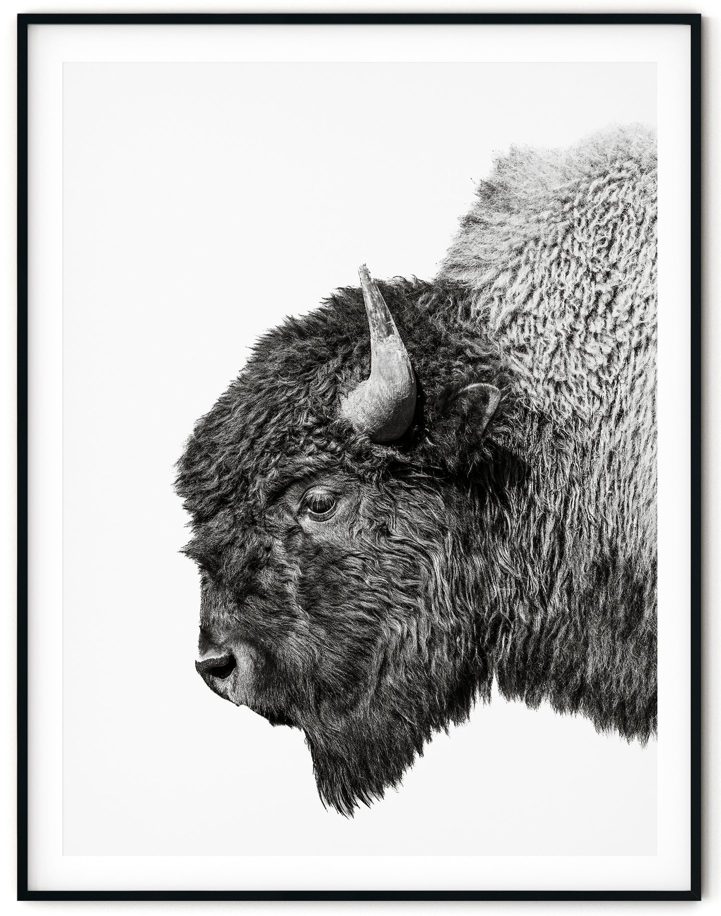The Guardian – Strength in Silence