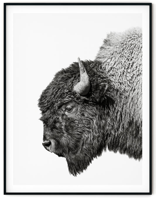The Guardian – Strength in Silence