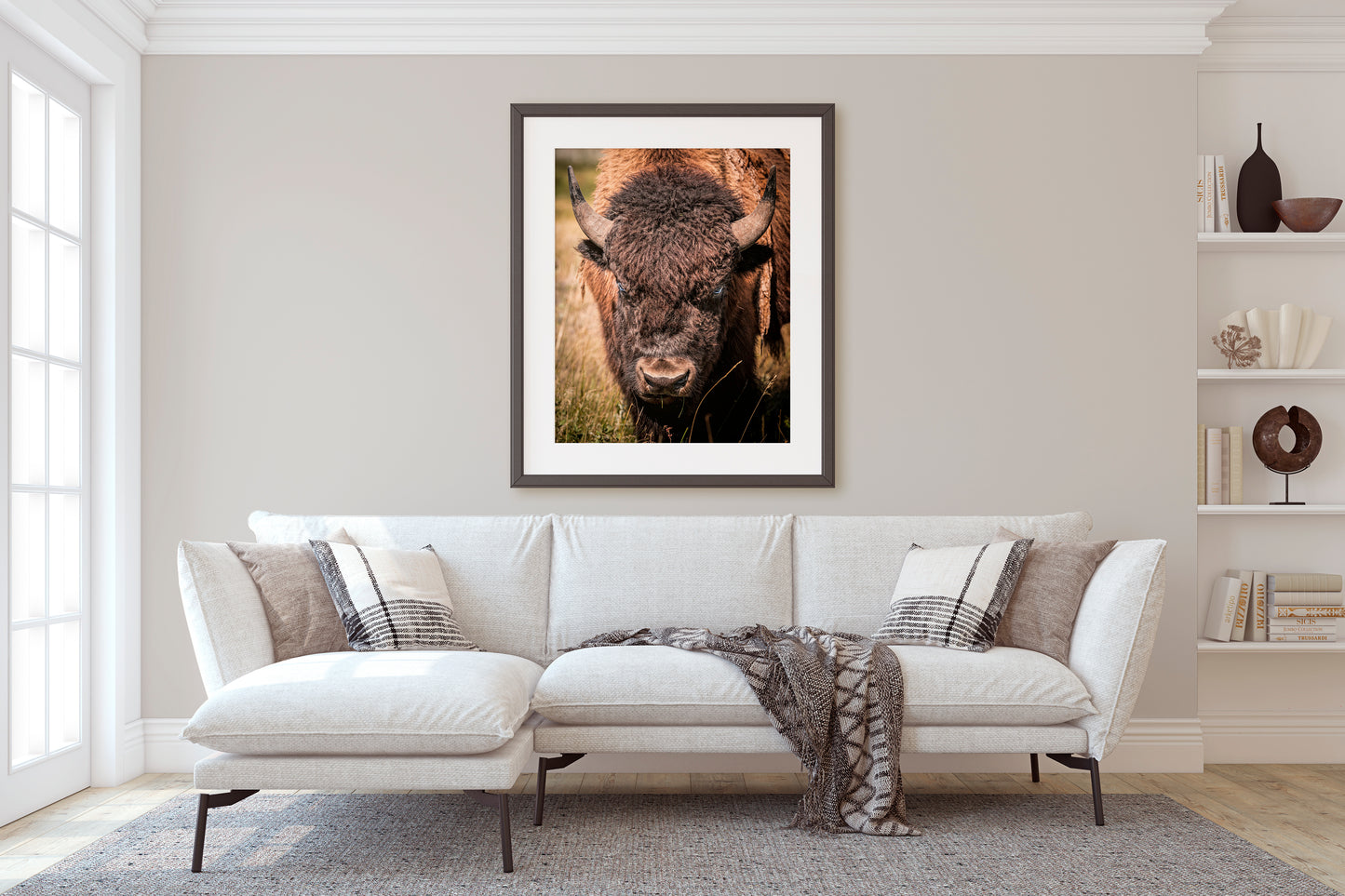 The Staredown – A Glimpse into the Wild