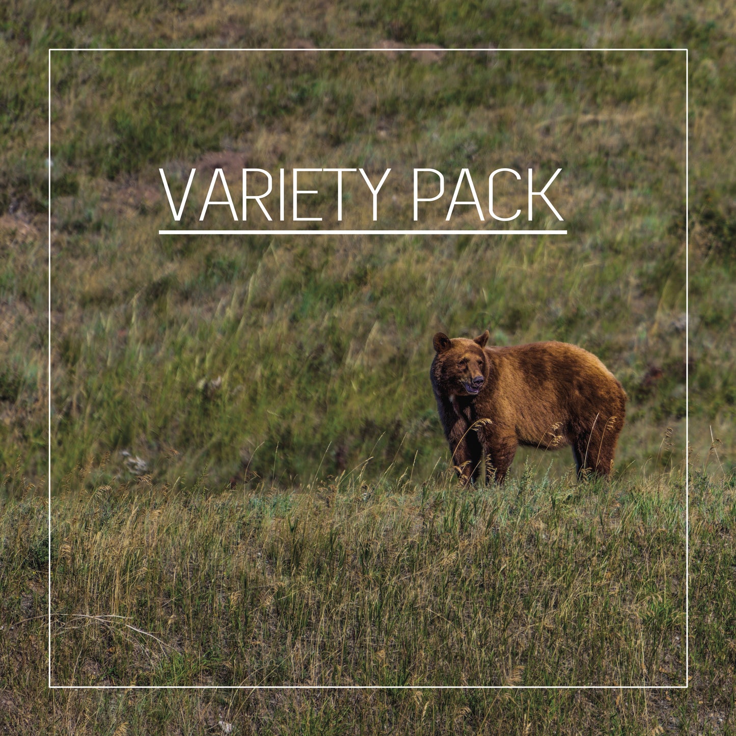 Variety Pack - V1