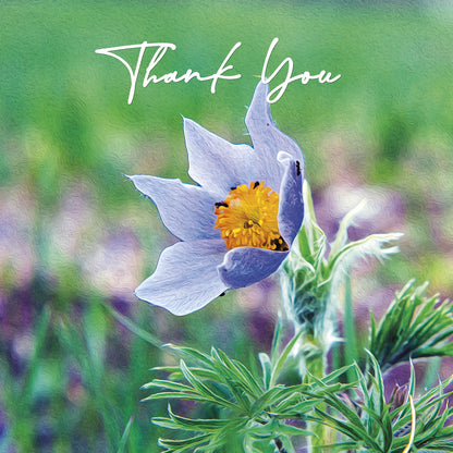 Thank You Cards - V6