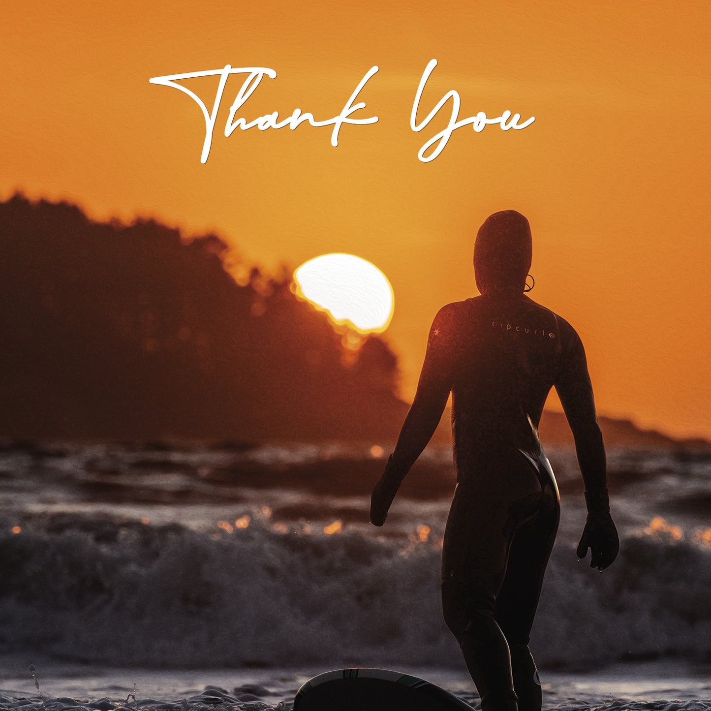 Thank You Cards - V7
