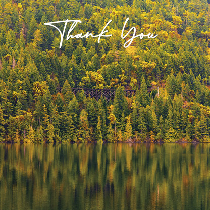 Thank You Cards - V6