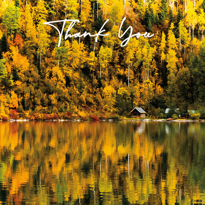 Thank You Cards - V5