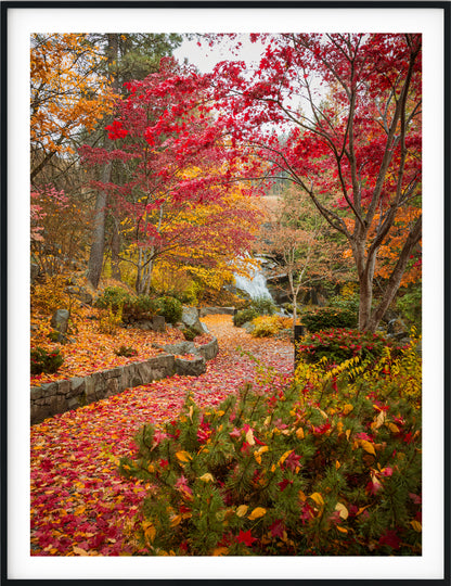Explosion of Color - Cottonwood Falls