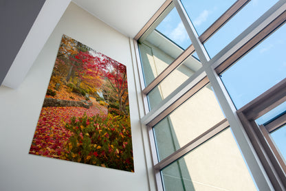 Explosion of Color - Cottonwood Falls