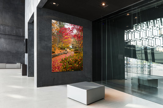 Explosion of Color - Cottonwood Falls